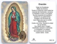 RCC - Virgen de Guadalupe