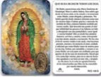 RCC - Virgen de Guadalupe